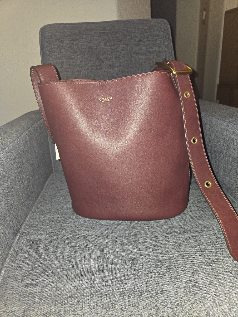 COACH Women's Bleeker Bucket Bag- Merlot